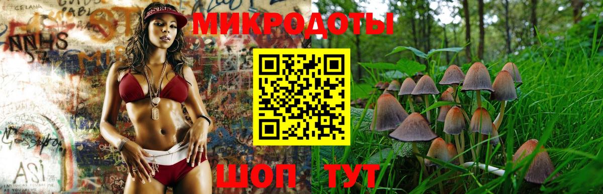 Калуга  цена наркотик  Вход с VPN  Галлюциногенные грибы Cubensis 