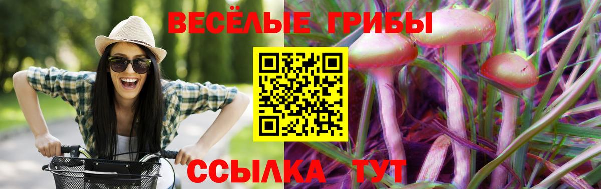 Галлюциногенные грибы ЛСД Калуга